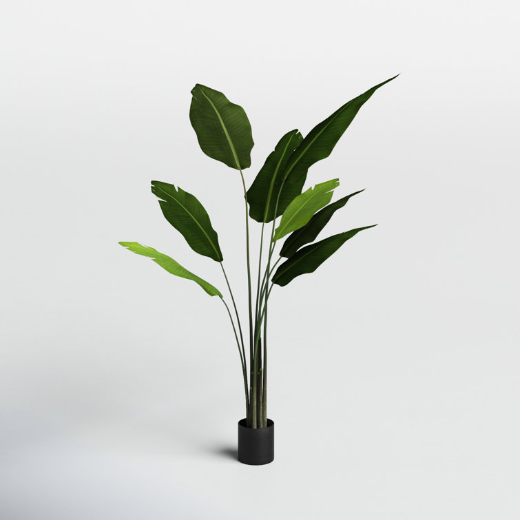 The Twillery Co. 5' Artificial Potted Travellers Palm Tree & Reviews